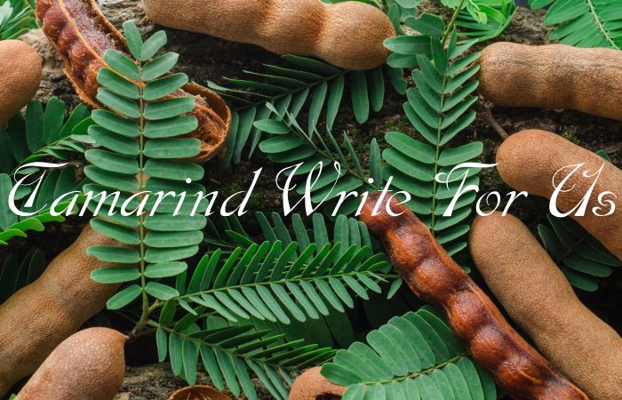 Tamarind Write For Us