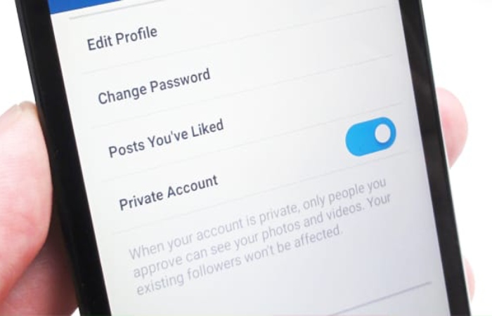 Risks of Seeing Private Instagram Accounts