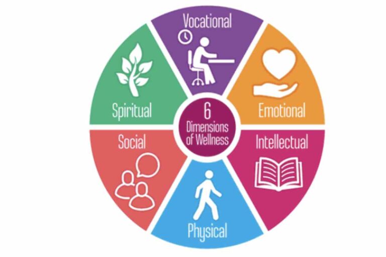 What is Wellness? – Important, Types, And More