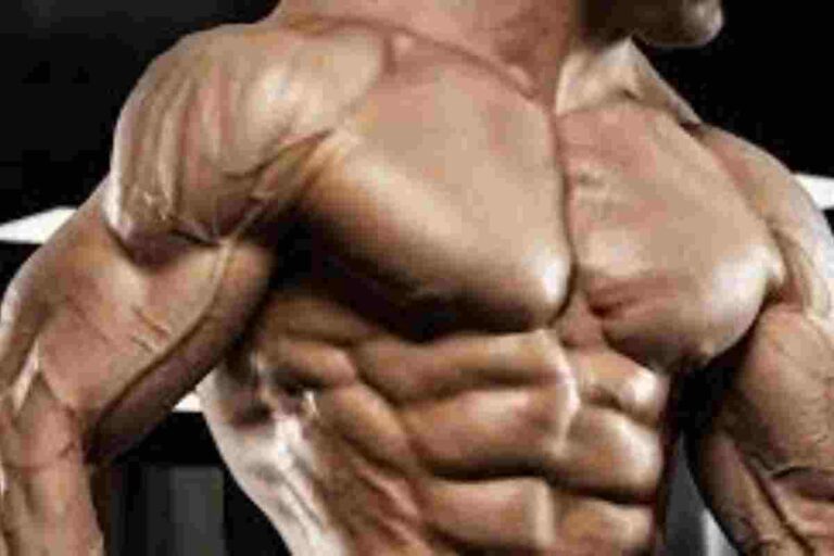 Muscle Growth Forum: Training, Nutrition & Supplements